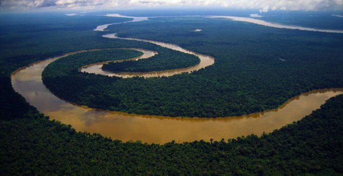 Mud River Muddy Jungle Cool Tributary Amazon Snake Forest View Windows Hd Background Images