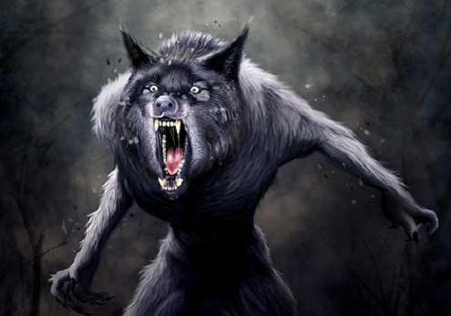werewolf313