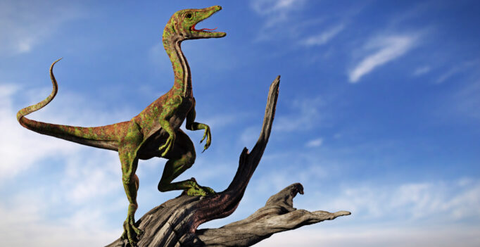 Compsognathus longipes, tiny dinosaur species from the Late Jurassic period, background